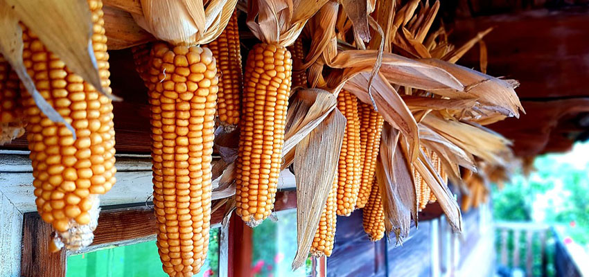 Партнеры - Микроволновый попкорн Агросур